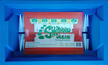 Load image into Gallery viewer, Continuous vacuuming and hosing feet are now history thanks to the clever use of a molded Footwasher.