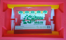 Load image into Gallery viewer, SWABBO Footwasher. Model:- Ocean. Colour:- Red/Yellow